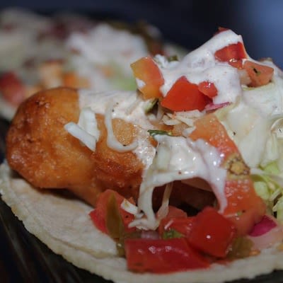 A closeup on chicken tacos