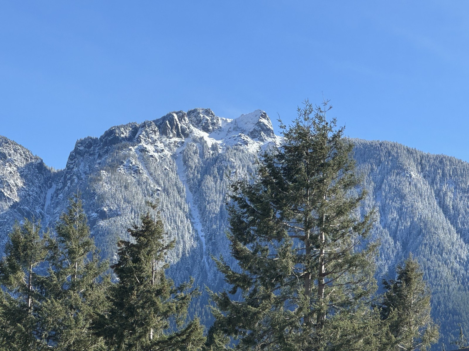 slideshow photo number 2