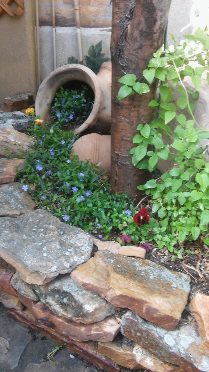 slideshow photo number 3