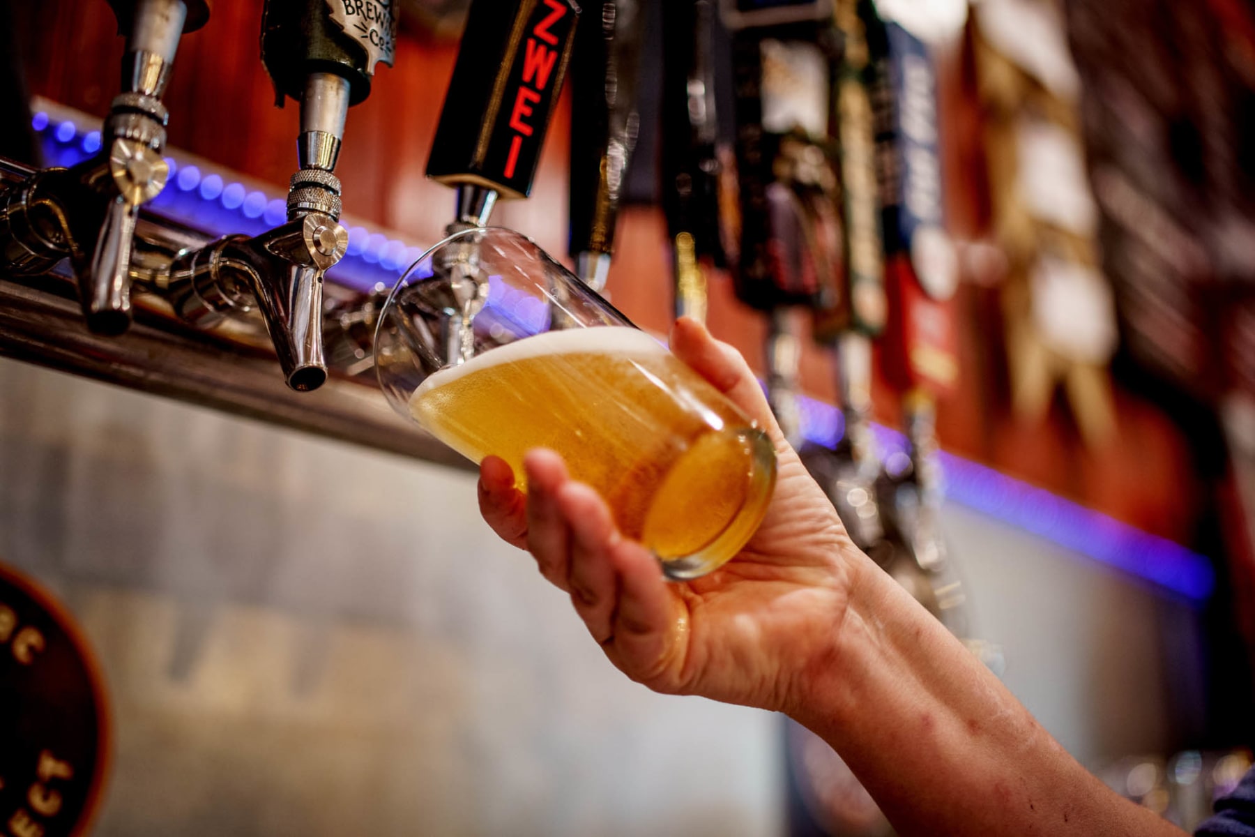 Must-Try Restaurant in Fort Collins | Panhandler's Pizza