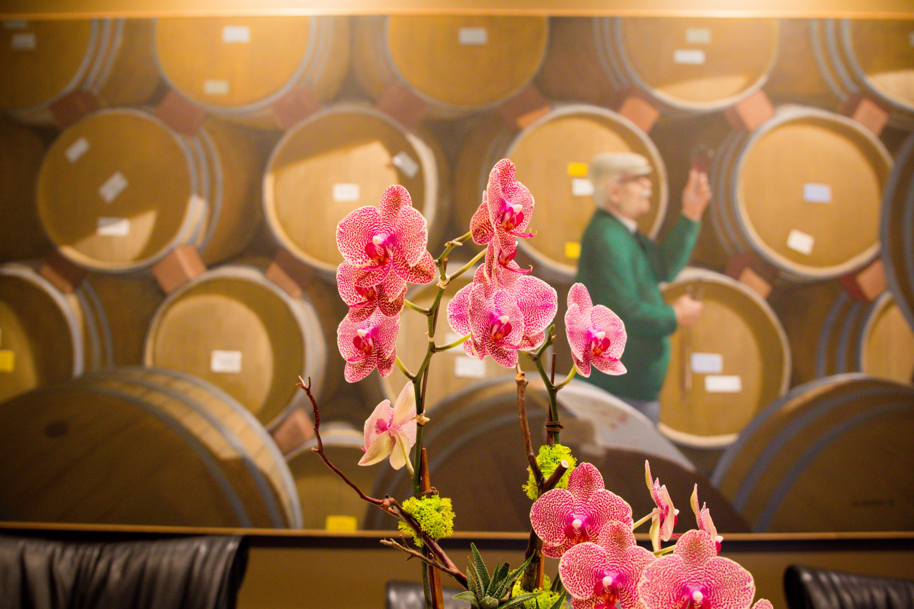 Pamplemousse Grille, restaurant in Solana Beach, photo 4 of 8